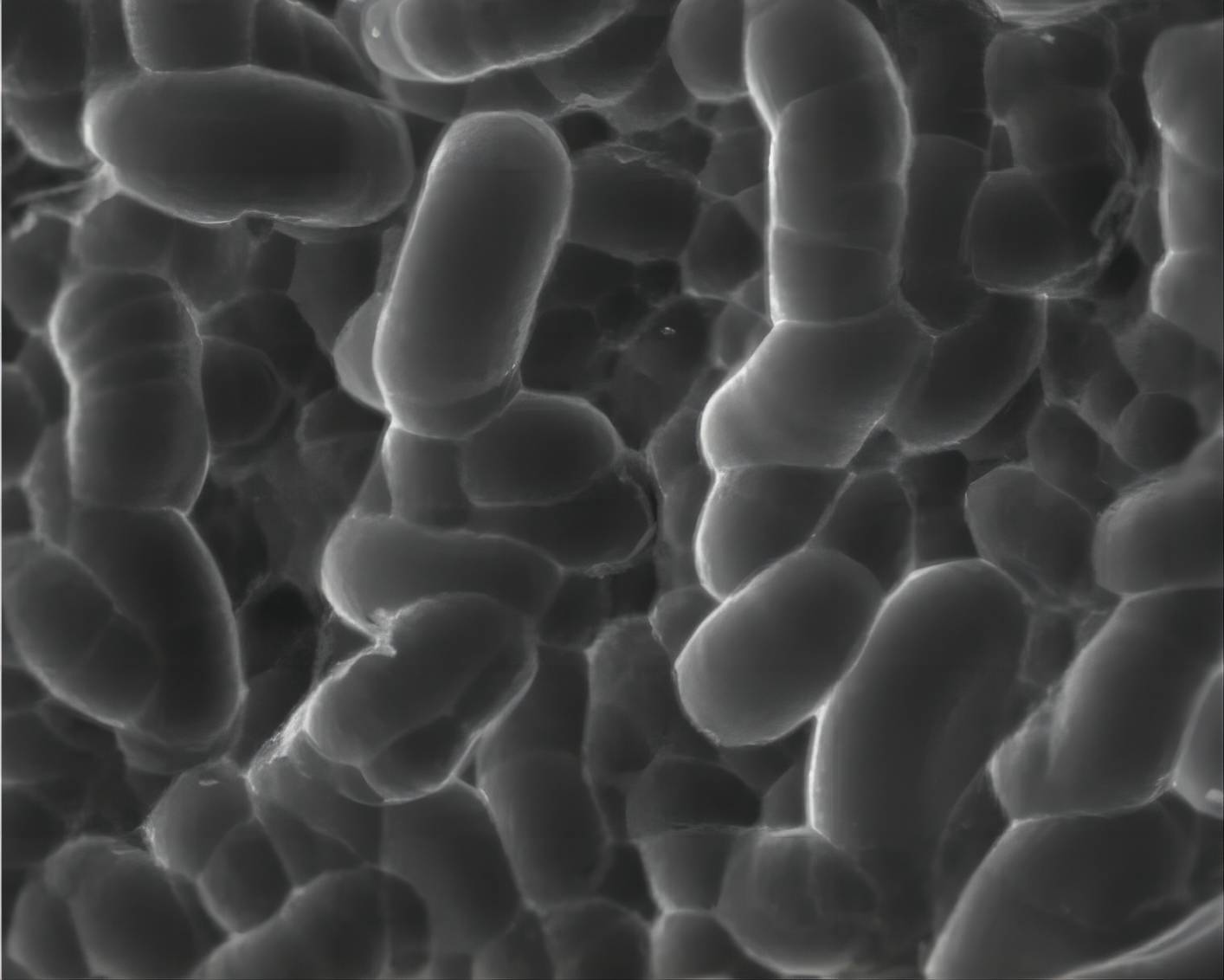 The surface of polycrystalline silicon silicon wafer after acid texturing