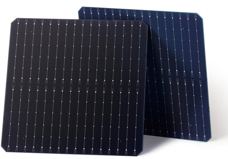TOPCon solar  cell