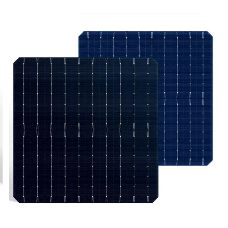 TOPCon Solar Cell 