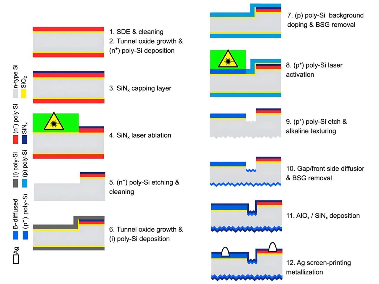 High-efficiency TOPCon back-contact polyZEBRA solar cells: Efficiency exceeds 24%