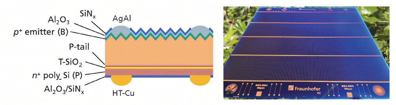 Silver consumption dropped by 93%, copper electroplating revolutionized TOPCon solar cells and ushered in a new era of 1mgW