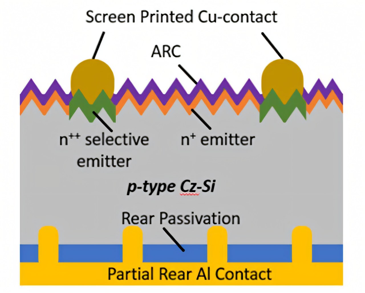 Exploring the performance and reliability of screen-printed conductive copper paste on PERC solar cells
