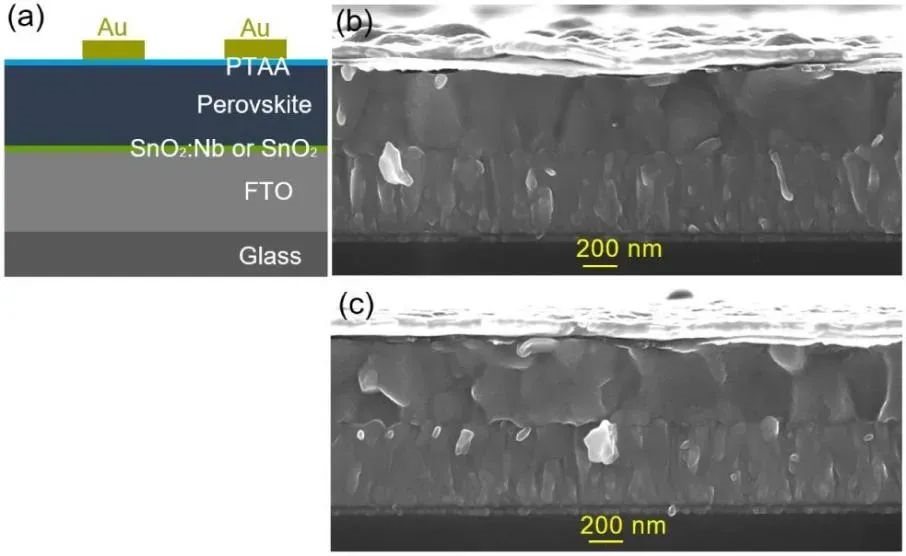 Atomic layer deposition (ALD) to prepare highly transparent niobium-doped SnO₂ electron transport layer (ETL) for efficient perovskite solar cells